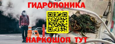 эйфоретик Тара