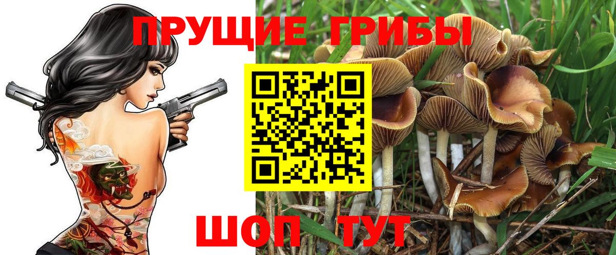 Анапа  Псилоцибиновые грибы Magic Shrooms  Галлюциногенные грибы прущие грибы  Вход с VPN 